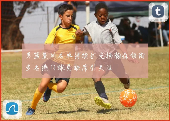 男篮集训名单持续扩充杨瀚森领衔多名热门球员缺席引关注